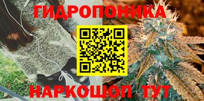 стафф Белорецк