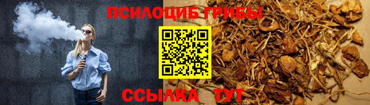 Галлюциногенные грибы прущие грибы  Псилоцибиновые грибы Psilocybe  Вход с VPN  Касимов 